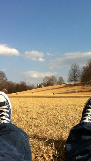 佛山网站的建设截图5