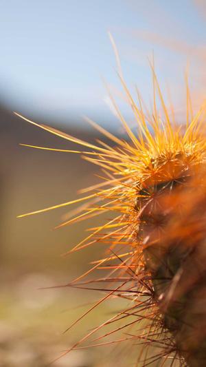 杭州网站开发建设截图2