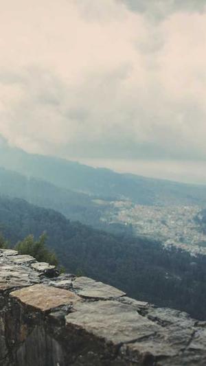 网站蜘蛛池怎么做的多截图4