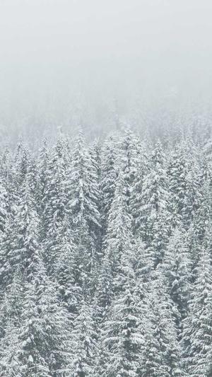 哪个网站建设公司好截图4