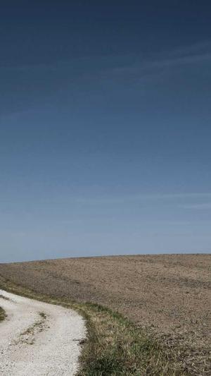 小旋风蜘蛛池最新版截图4