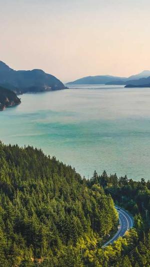 上海门户网站建设截图1