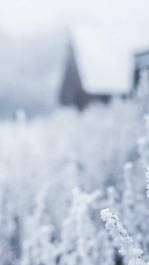 北京蜘蛛池租用截图4