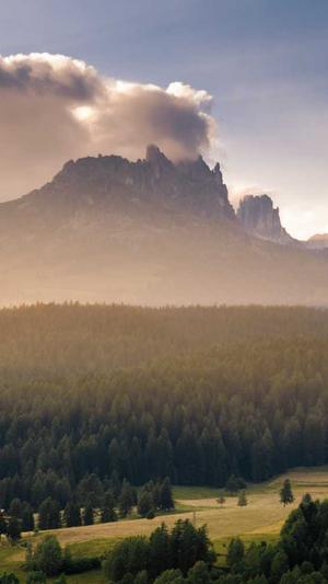 重庆seo研究中心截图1