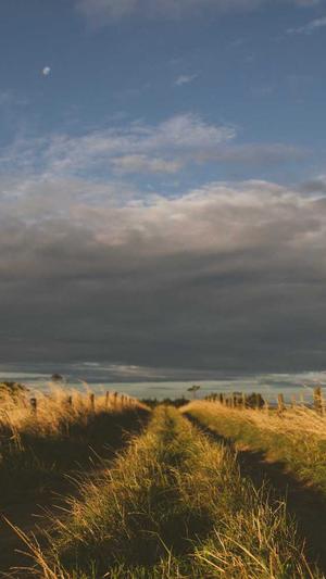 原子核泛目录截图1