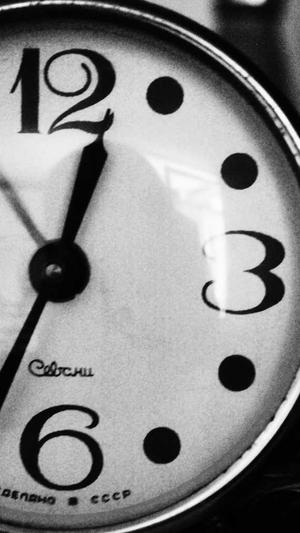 蜘蛛池和外链的区别截图1