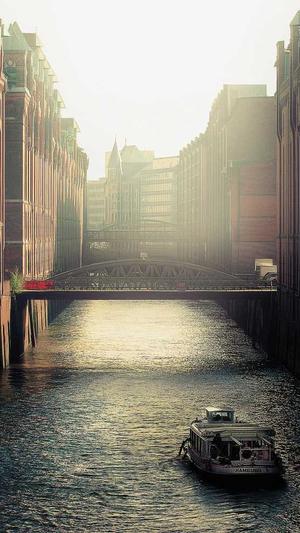 天道蜘蛛池教程截图1