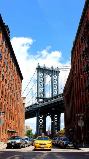 泛目录泛解析站群截图2