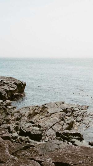 蜘蛛池和泛目录的区别截图1