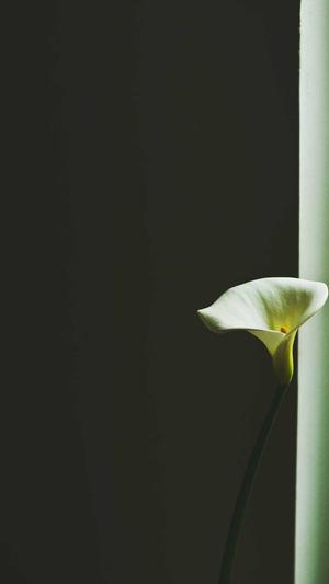 蜘蛛池收录快吗截图2