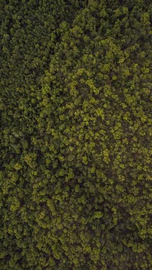 泛目录怎么做截图5