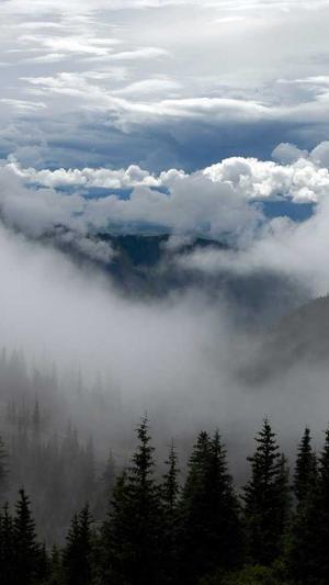 河南省建设厅网站截图3