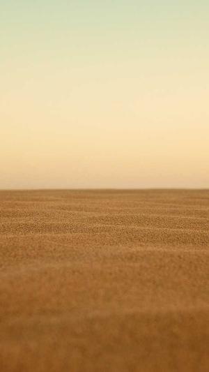 红蜘蛛池网是什么截图2