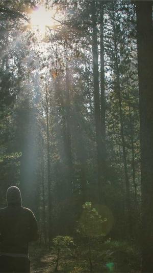 杭州网站开发建设截图4