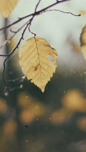 济南seo培训截图1